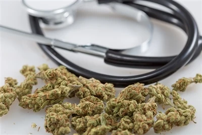 De fleste marihuanaforbrugere bruger flere penge på cannabis nu, end de var s...